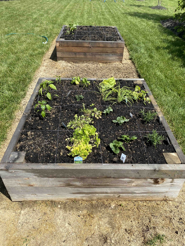 mudroom update - 5 projects - vegetable garden, raised garden bed