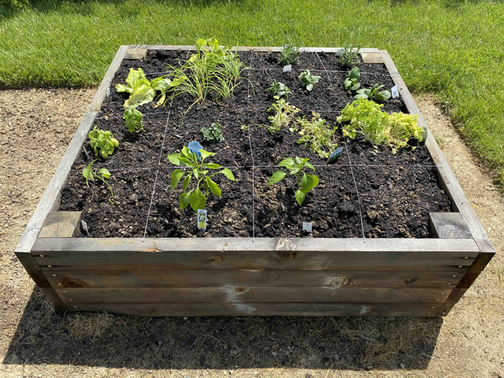 mudroom update - 5 projects - vegetable garden, raised garden bed